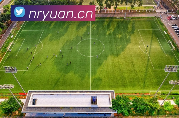 星空体育首页入口平台生态图